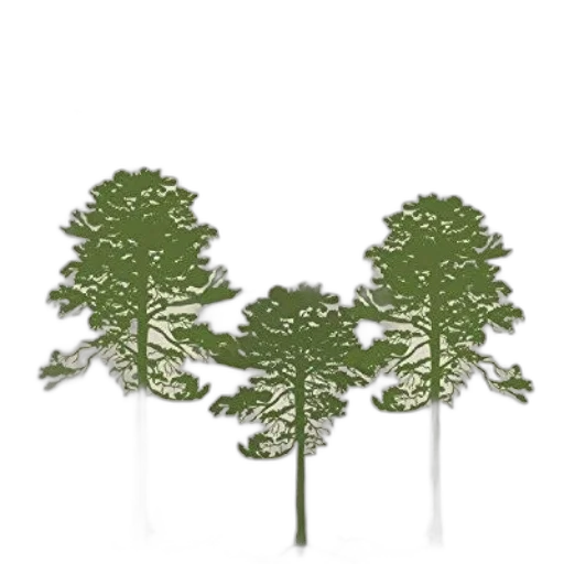 tree, crown, 3d render, concept art, photorealistic, pixel art, forest, fog transparent PNG cut-out