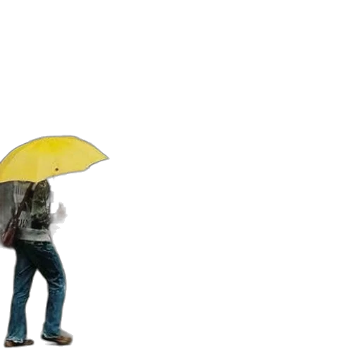 umbrella, jacket, hat, staff transparent PNG cut-out