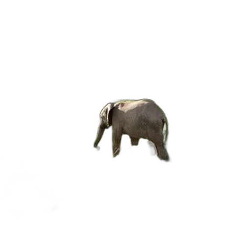 animal, creature, furniture, staff, 3d render, concept art, photorealistic, pixel art transparent PNG cut-out