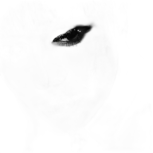 face, mask, staff, creature transparent PNG cut-out