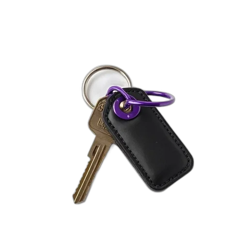 car, staff, set, keys, black, key, fob, attached transparent PNG cut-out