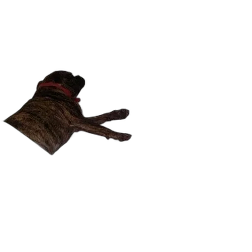 hat, animal, shoes, staff transparent PNG cut-out