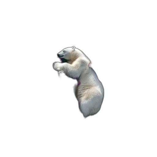 animal, staff, creature, jewelry, 3d render, polar, bear, lies transparent PNG cut-out
