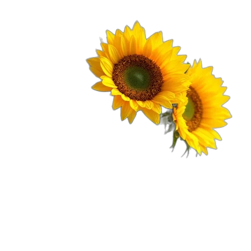 flower, crown, jewelry, staff, 3d render, photorealistic, oil painting, pixel art transparent PNG cut-out