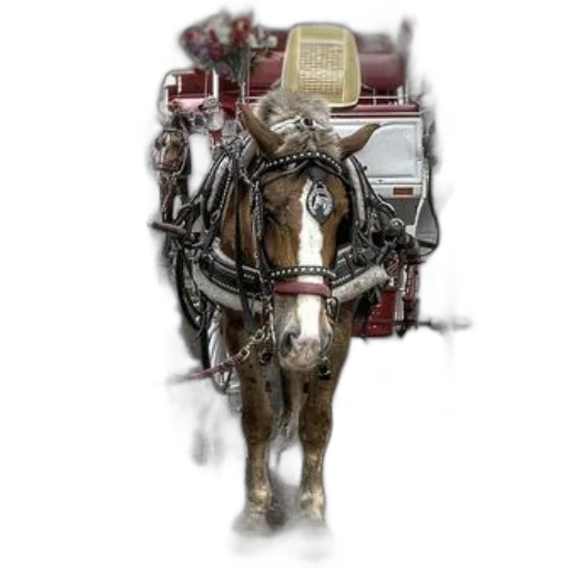 robot, animal, staff, car, concept art, photorealistic, fantasy art, pixel art transparent PNG cut-out