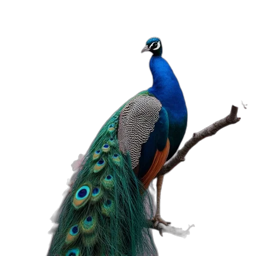 animal, staff, crown, jewelry, 3d render, photorealistic, concept art, fantasy art transparent PNG cut-out