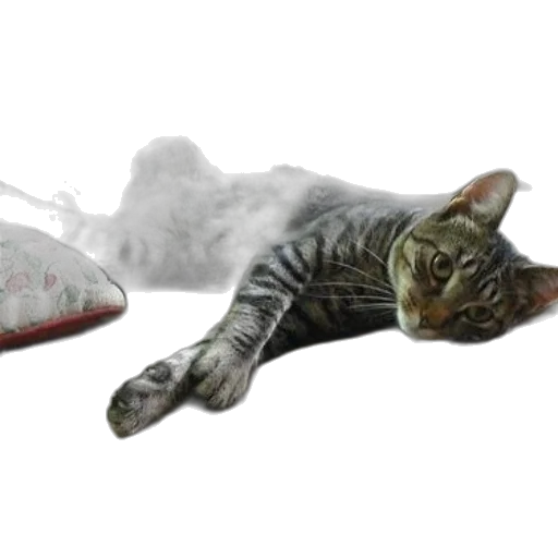 shoes, weapon, staff, animal, photorealistic, concept art, 3d render, fantasy art transparent PNG cut-out