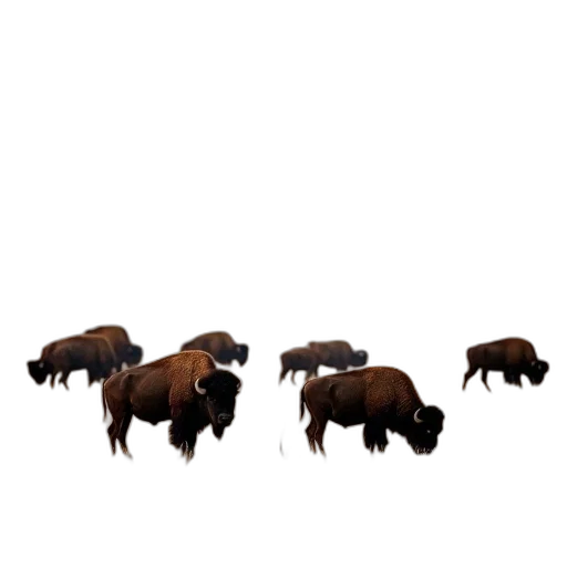 animal, furniture, hair, creature, concept art, 3d render, pixel art, photorealistic transparent PNG cut-out