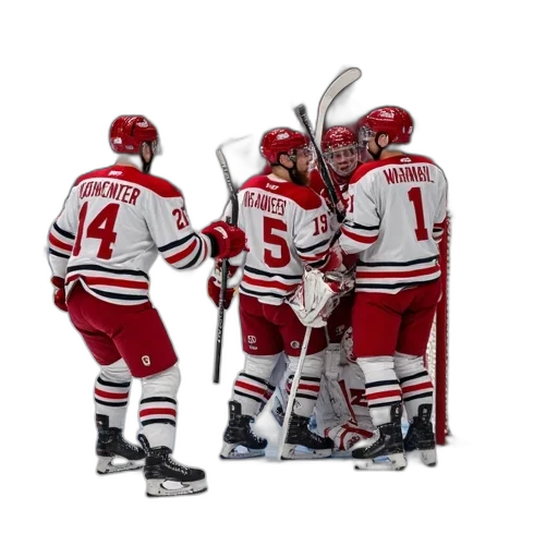 ottawa, cyclones, celebrate, goal transparent PNG cut-out