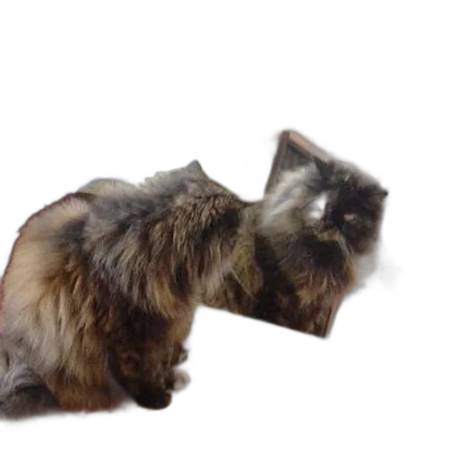 animal, creature, staff, weapon, photorealistic, 3d render, concept art, fluffy transparent PNG cut-out