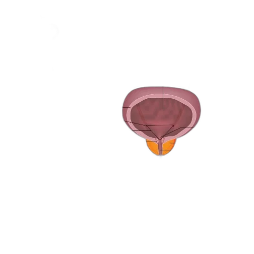 jewelry, crown, umbrella, food, 3d render, concept art, pixel art, photorealistic transparent PNG cut-out
