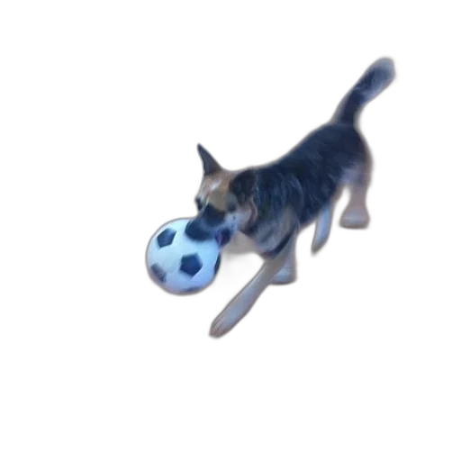 animal, creature, staff, weapon, pixel art, 3d render, concept art, photorealistic transparent PNG cut-out
