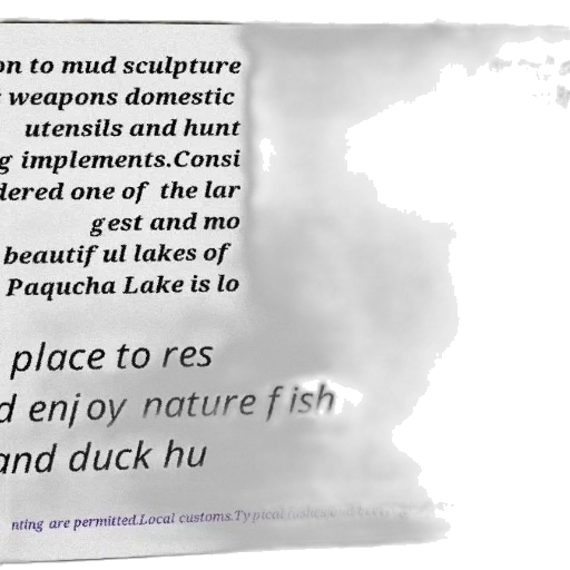 weapon, sword, fog, poster, text, spanish, about, location transparent PNG cut-out