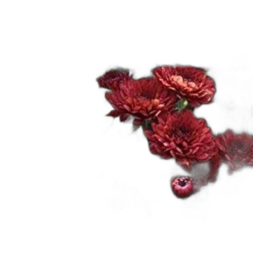dragon, jewelry, flower, crown, 3d render, photorealistic, concept art, pixel art transparent PNG cut-out