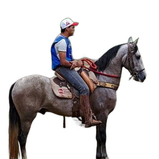 animal, staff, jacket, hat, photorealistic, concept art, 3d render, pixel art transparent PNG cut-out