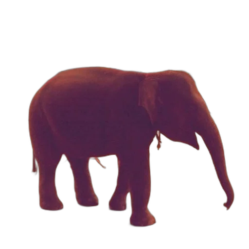 animal, creature, staff, jewelry, 3d render, concept art, photorealistic, pixel art transparent PNG cut-out