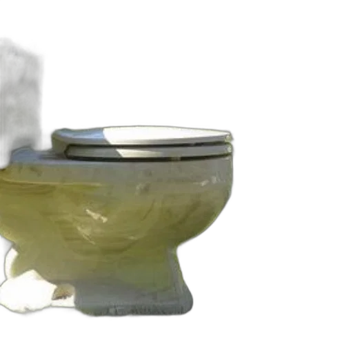 crown, food, furniture, robot, 3d render, photorealistic, dirty, toilet transparent PNG cut-out