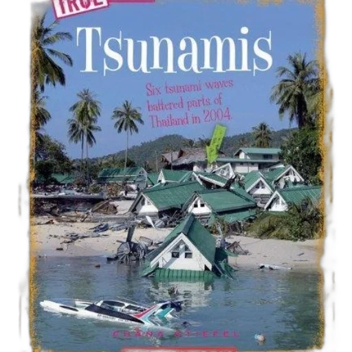 book, cover, titled, tsunamis, photo, flooded, beach, damaged transparent PNG cut-out