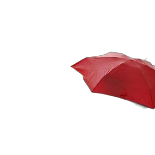 umbrella, hat, jacket, staff, 3d render, photorealistic, rain, red transparent PNG cut-out