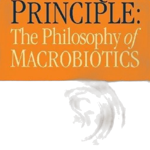 jewelry, robot, cover, principle, philosophy, macrobiotics, features, orange transparent PNG cut-out