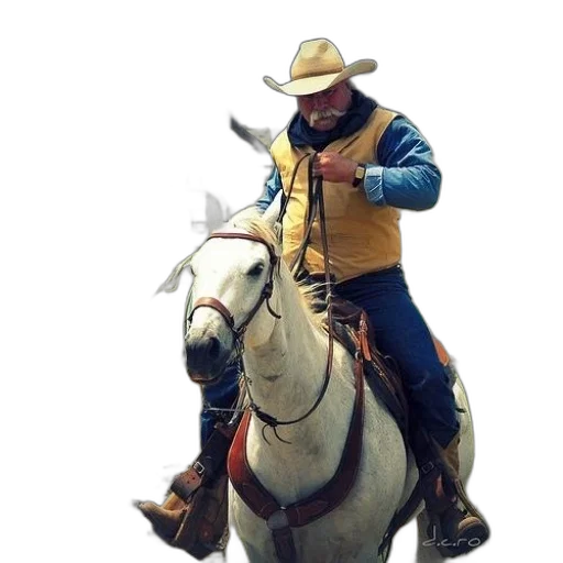 jacket, staff, animal, weapon, concept art, photorealistic, man, yellow transparent PNG cut-out