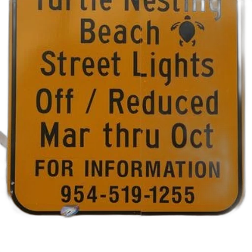 beach, neon lights, city street, yellow, sign, black, text, image transparent PNG cut-out