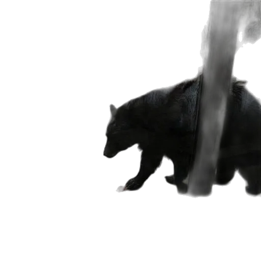 dragon, animal, creature, weapon transparent PNG cut-out
