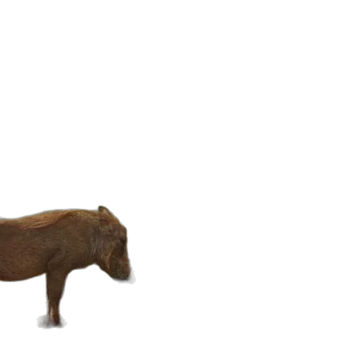 animal, creature, furniture, weapon, 3d render, concept art, photorealistic, forest transparent PNG cut-out