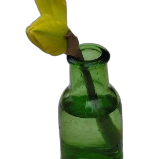 bottle, flower, weapon, staff, 3d render, photorealistic, green, single transparent PNG cut-out