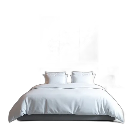 furniture, 3d render, photorealistic, monochrome, first, image, shows, modern transparent PNG cut-out