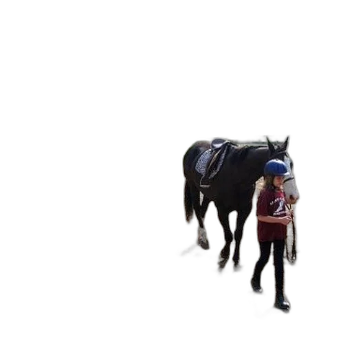 animal, hat, creature, staff, pixel art, 3d render, concept art, outer space transparent PNG cut-out