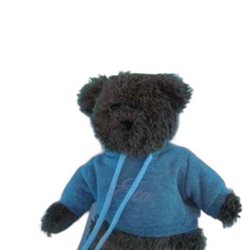 staff, jacket, 3d render, teddy, bear, wearing, hoodie, stands transparent PNG cut-out