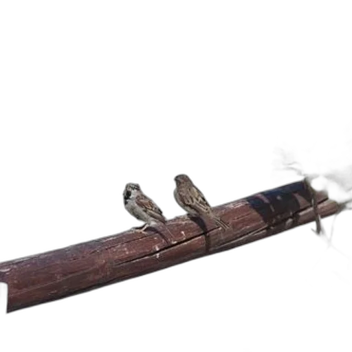 sword, weapon, staff, jewelry transparent PNG cut-out