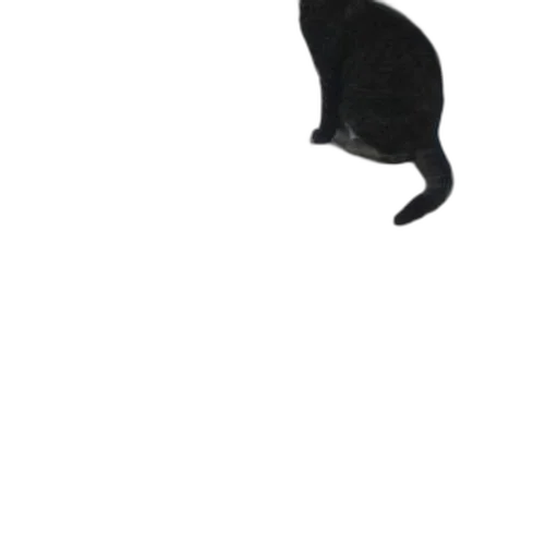 animal, staff, creature, hat, photorealistic, pixel art, concept art, 3d render transparent PNG cut-out