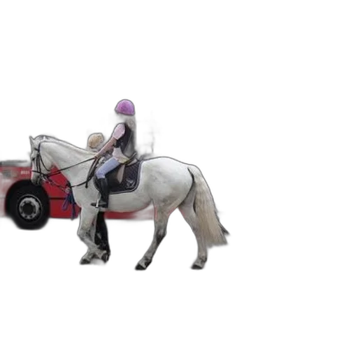 animal, car, concept art, photorealistic, 3d render, pixel art, person, rides transparent PNG cut-out