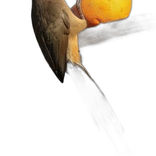 staff, food, animal, face, photorealistic, concept art, watercolor, 3d render transparent PNG cut-out
