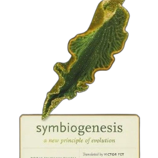 jewelry, symbiogenesis, new, principle, evolution, book, cover, green transparent PNG cut-out