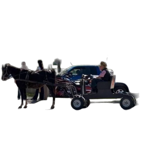 car, animal, robot, staff, concept art, photorealistic, horse-drawn, carriage transparent PNG cut-out