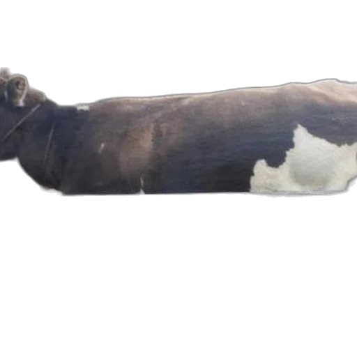 animal, staff, sword, creature, photorealistic, 3d render, concept art, watercolor transparent PNG cut-out