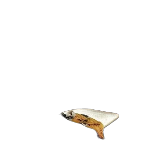jewelry, shoes, staff, furniture transparent PNG cut-out