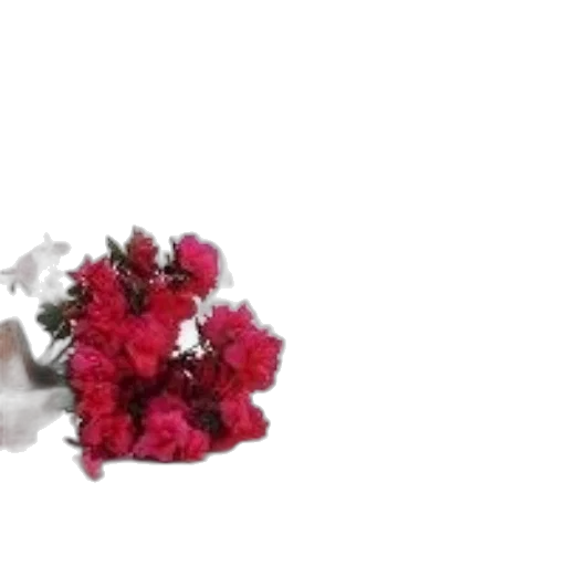 flower, jewelry, crown, weapon transparent PNG cut-out