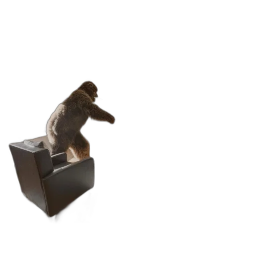 furniture, animal, shoes, staff, 3d render, photorealistic, concept art, well-lit transparent PNG cut-out