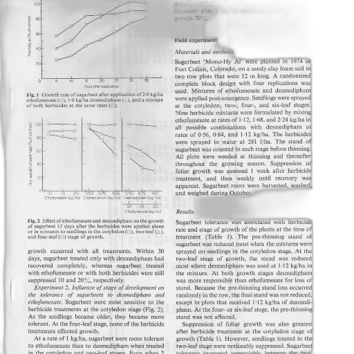 scientific, graph, showing, growth, rate, sugar, beet, after transparent PNG cut-out
