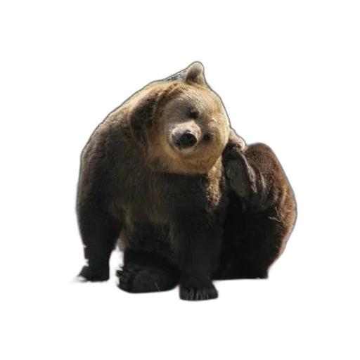 animal, creature, staff, 3d render, photorealistic, concept art, brown, bear transparent PNG cut-out