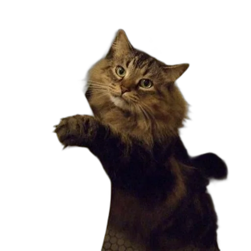 animal, staff, creature, photorealistic, 3d render, concept art, oil painting, fluffy transparent PNG cut-out