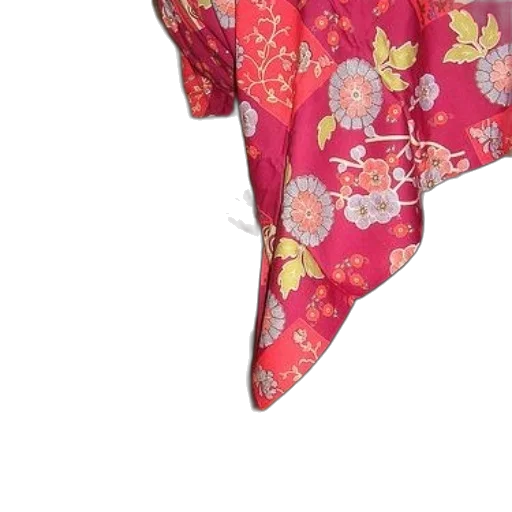umbrella, dress, jacket, flower, red, cat, hiding, under transparent PNG cut-out