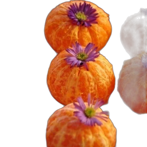 food, crown, flower, photorealistic transparent PNG cut-out