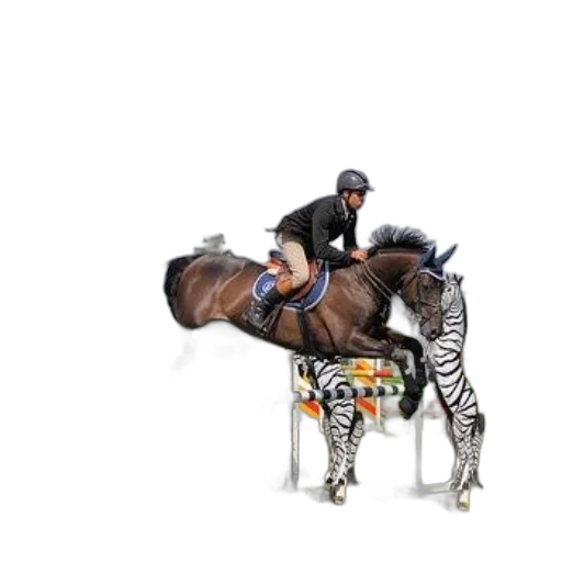 animal, concept art, photorealistic, 3d render transparent PNG cut-out