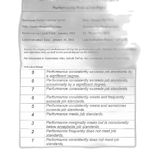 performance, evaluation, form, depuy, inc, dated, january, 2003 transparent PNG cut-out