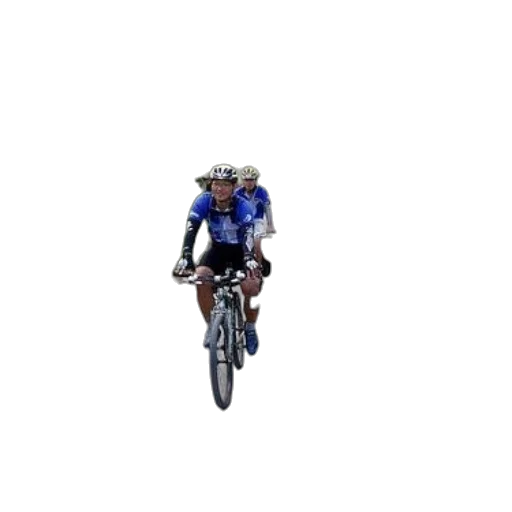 animal, pixel art, 3d render, photorealistic, concept art, two, cyclists, ride transparent PNG cut-out